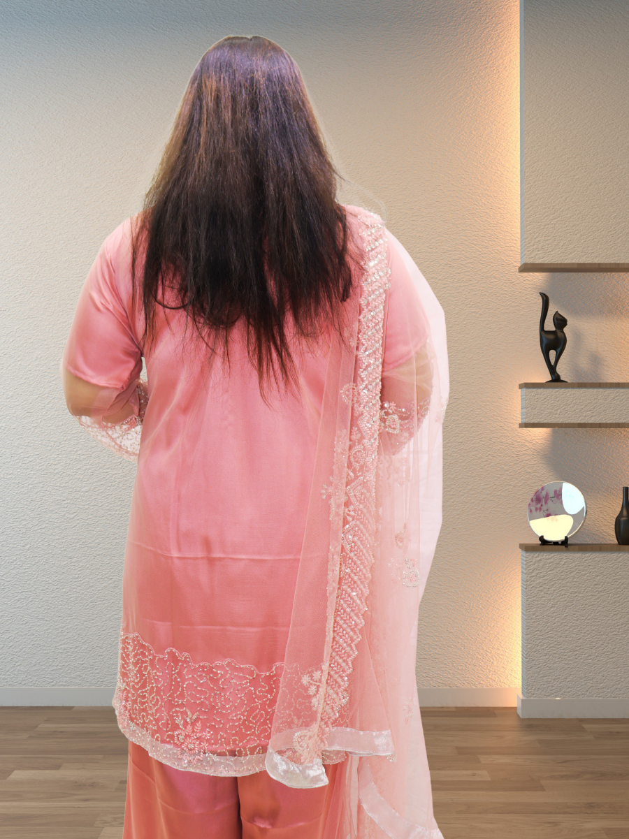 Gul-e-Afroze (گلِ افروز) - Stitched - 3 Pcs